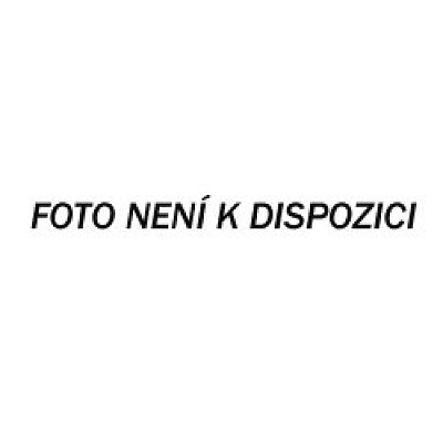 Canon PAPÍR  LU-101, A3 fotopapír, 20 ks, lesklý, 260g/m