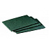 3M Scotch-Brite™ 96 Drhnoucí pad pro kuchyně, zelený, 158 x 224 mm