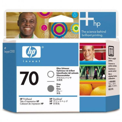 HP C9410A, HP 70, grey, HP DesignJet Z3100