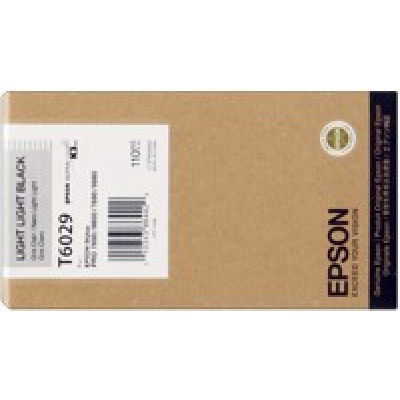 Epson C13T602900 világos fekete (light black) eredeti tintapatron