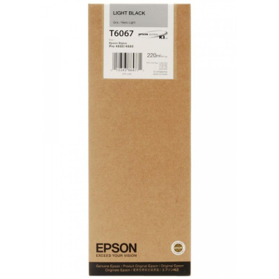 Epson T606700 világos fekete (light black) eredeti tintapatron
